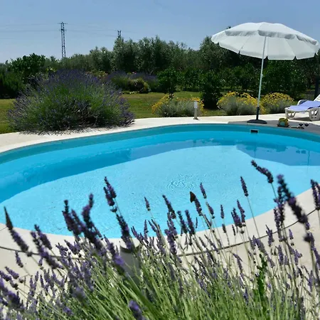 Nyaraló With Pool In 44171